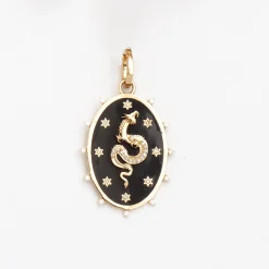Ceramic & Diamond Dragon Hinged Charm