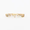 Diamond Lyon Band