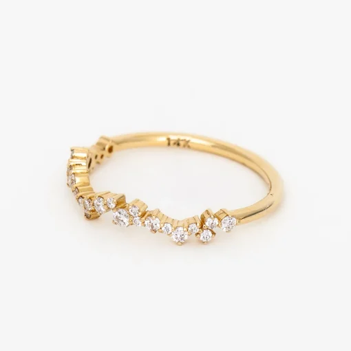 Diamond Lyon Band