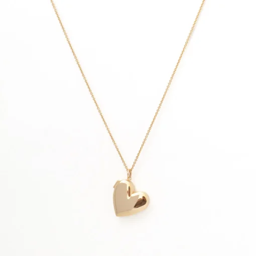 Heart Locket Long Chain Necklace