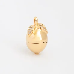 Lemon Locket