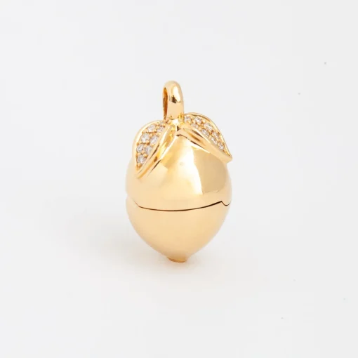 Lemon Locket