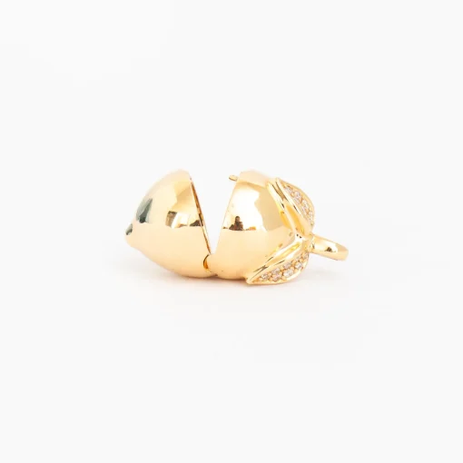 Lemon Locket