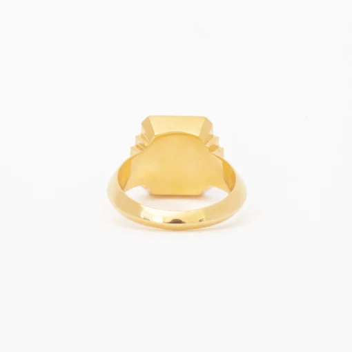 Onyx + Eye Classic Signet Ring