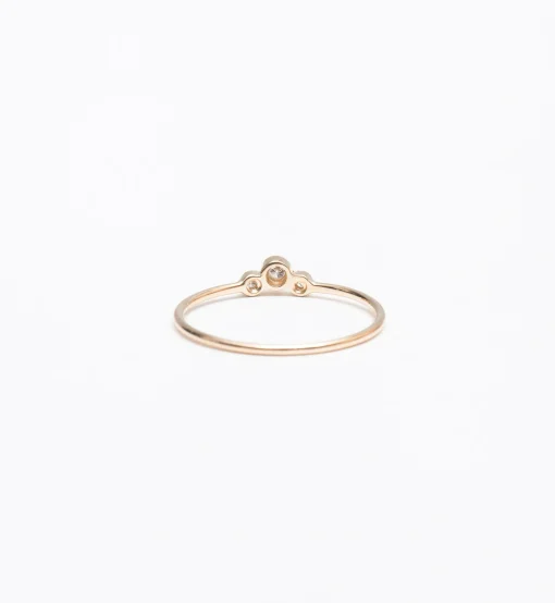 Small Graduated Bezel Ring