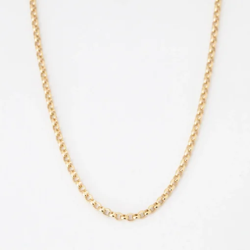 Small Rolo Chain Necklace
