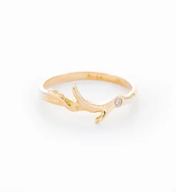 Timber Guard Ring