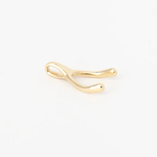 Wishbone Charm