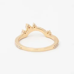 Diamond Dusted Meridian Tiara Band