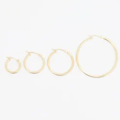 Gold Hinged Hoop Earrings