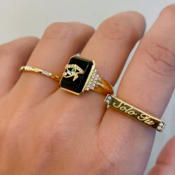 Onyx + Eye Classic Signet Ring