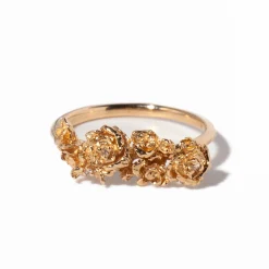 Roses & Hidden Fairy on Eos Garden Ring