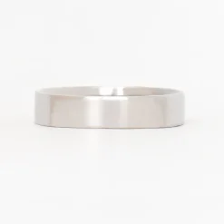 Square 5mm Polished Band
