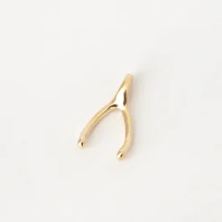 Wishbone Charm